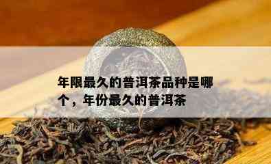 年限最久的普洱茶品种是哪个，年份最久的普洱茶