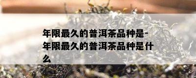 年限最久的普洱茶品种是-年限最久的普洱茶品种是什么