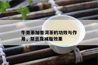 牛蒡茶加普洱茶的功效与作用，禁忌及减脂效果