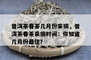 普洱茶春茶几月份采摘，普洱茶春茶采摘时间：你知道几月份更佳？