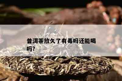 普洱茶放久了有吗还能喝吗？