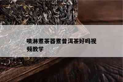 喷淋煮茶器煮普洱茶好吗视频教学