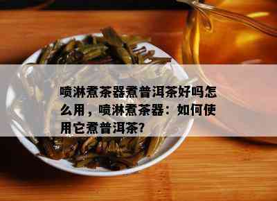 喷淋煮茶器煮普洱茶好吗怎么用，喷淋煮茶器：如何使用它煮普洱茶？