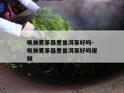 喷淋煮茶器煮普洱茶好吗-喷淋煮茶器煮普洱茶好吗视频