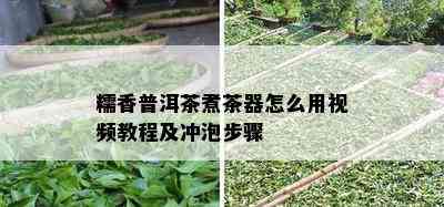 糯香普洱茶煮茶器怎么用视频教程及冲泡步骤