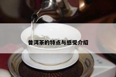 普洱茶的特点与感受介绍