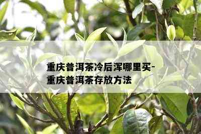 重庆普洱茶冷后浑哪里买-重庆普洱茶存放方法