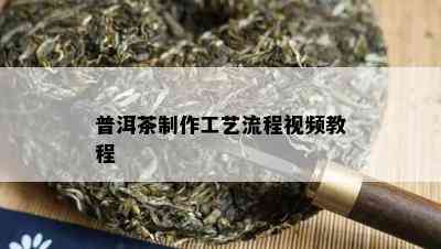 普洱茶制作工艺流程视频教程