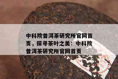 中科院普洱茶研究所官网首页，探寻茶叶之美：中科院普洱茶研究所官网首页