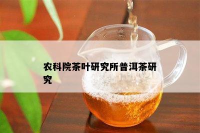 农科院茶叶研究所普洱茶研究