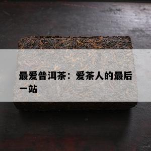 更爱普洱茶：爱茶人的最后一站