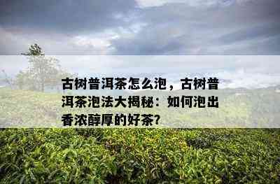 古树普洱茶怎么泡，古树普洱茶泡法大揭秘：如何泡出香浓醇厚的好茶？