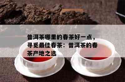 普洱茶哪里的春茶好一点，寻觅更佳春茶：普洱茶的春茶产地之选