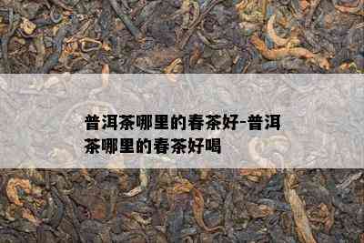 普洱茶哪里的春茶好-普洱茶哪里的春茶好喝