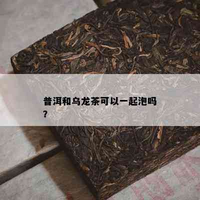 普洱和乌龙茶可以一起泡吗？