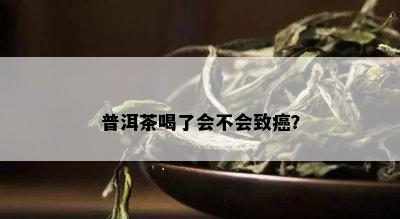 普洱茶喝了会不会致癌？