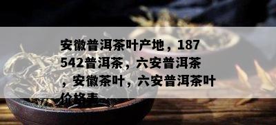 安徽普洱茶叶产地，187542普洱茶，六安普洱茶，安徽茶叶，六安普洱茶叶价格表