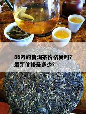 88万的普洱茶价格贵吗？最新价格是多少？