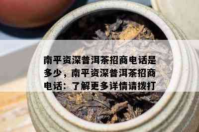 南平资深普洱茶招商电话是多少，南平资深普洱茶招商电话：了解更多详情请拨打