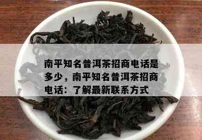 南平知名普洱茶招商电话是多少，南平知名普洱茶招商电话：了解最新联系方式