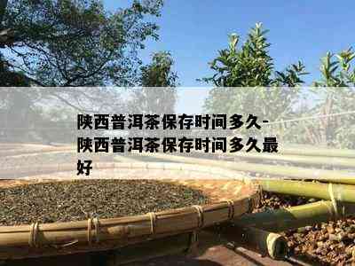 陕西普洱茶保存时间多久-陕西普洱茶保存时间多久更好