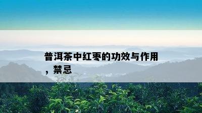 普洱茶中红枣的功效与作用，禁忌