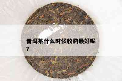 普洱茶什么时候收购更好呢？