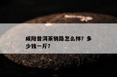 咸阳普洱茶销路怎么样？多少钱一斤？