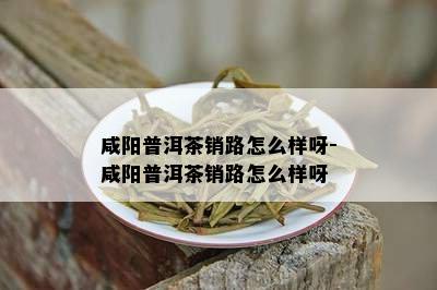 咸阳普洱茶销路怎么样呀-咸阳普洱茶销路怎么样呀