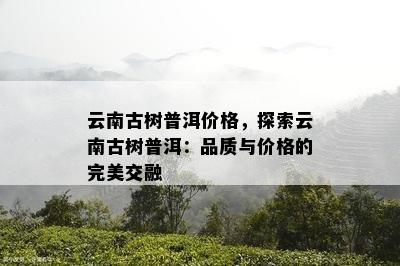 云南古树普洱价格，探索云南古树普洱：品质与价格的完美交融