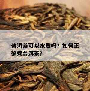 普洱茶可以水煮吗？如何正确煮普洱茶？