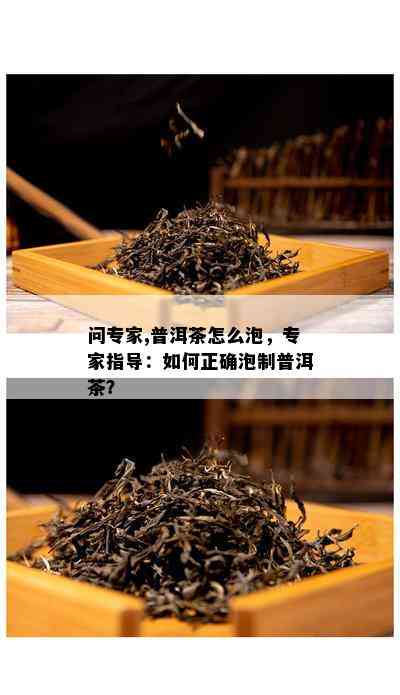 问专家,普洱茶怎么泡，专家指导：如何正确泡制普洱茶？