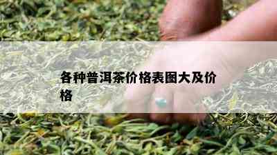 各种普洱茶价格表图大及价格