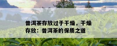 普洱茶存放过于干燥，干燥存放：普洱茶的保质之道