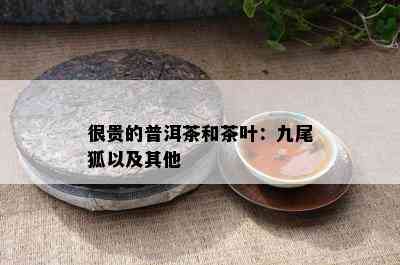 很贵的普洱茶和茶叶：九尾狐以及其他