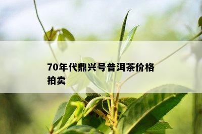 70年代鼎兴号普洱茶价格拍卖