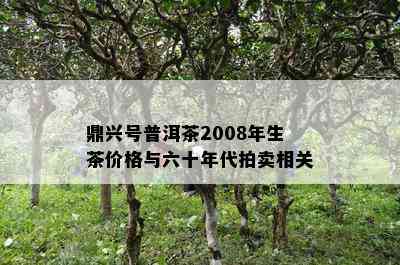 鼎兴号普洱茶2008年生茶价格与六十年代拍卖相关