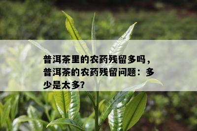 普洱茶里的农残留多吗，普洱茶的农残留问题：多少是太多？