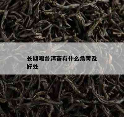 长期喝普洱茶有什么危害及好处