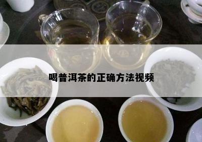 喝普洱茶的正确方法视频