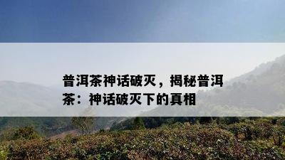 普洱茶神话破灭，揭秘普洱茶：神话破灭下的真相