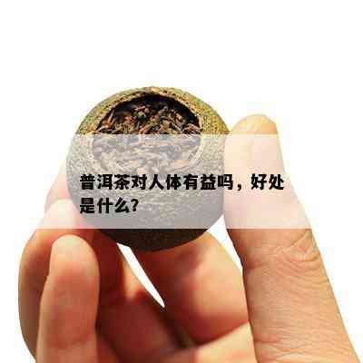 普洱茶对人体有益吗，好处是什么？