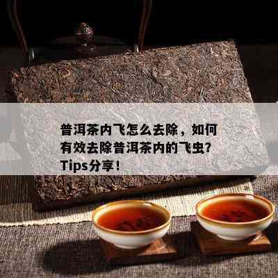 普洱茶内飞怎么去除，如何有效去除普洱茶内的飞虫？Tips分享！