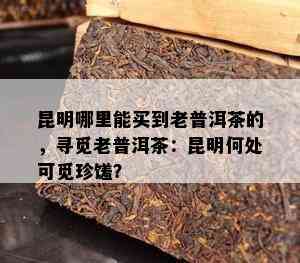 昆明哪里能买到老普洱茶的，寻觅老普洱茶：昆明何处可觅珍馐？