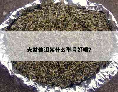 大益普洱茶什么型号好喝？