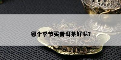 哪个季节买普洱茶好呢？