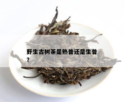 野生古树茶是熟普还是生普？