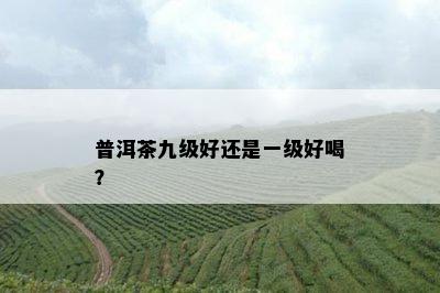 普洱茶九级好还是一级好喝？