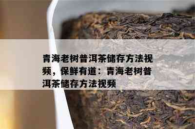 青海老树普洱茶储存方法视频，保鲜有道：青海老树普洱茶储存方法视频