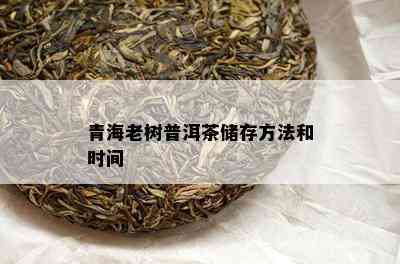 青海老树普洱茶储存方法和时间